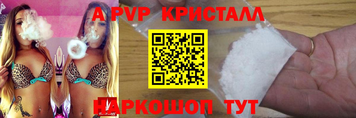 A PVP СК КРИС Фрязино