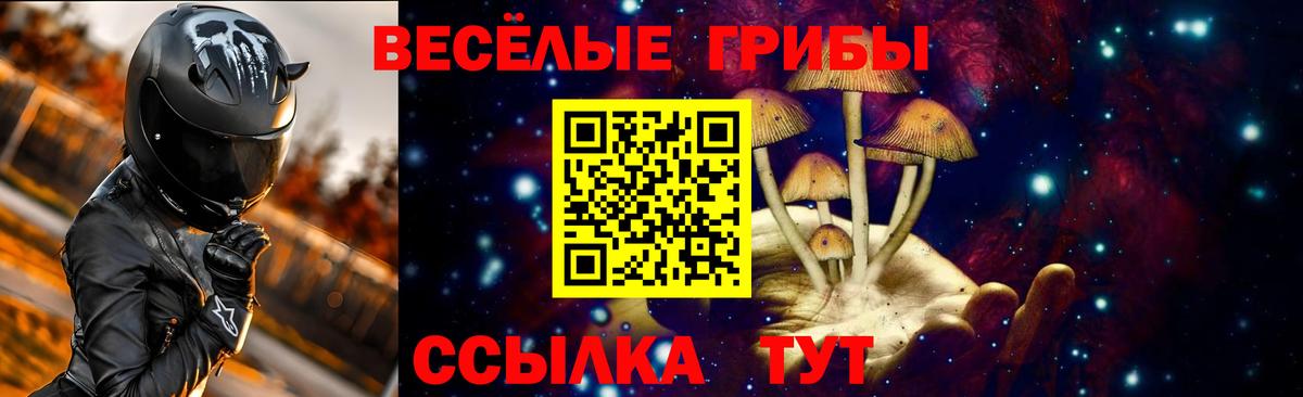 Фрязино  Галлюциногенные грибы Psilocybe  Вход с VPN 